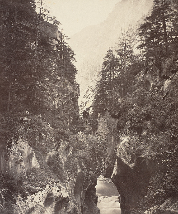 1982_38_344.jpg
