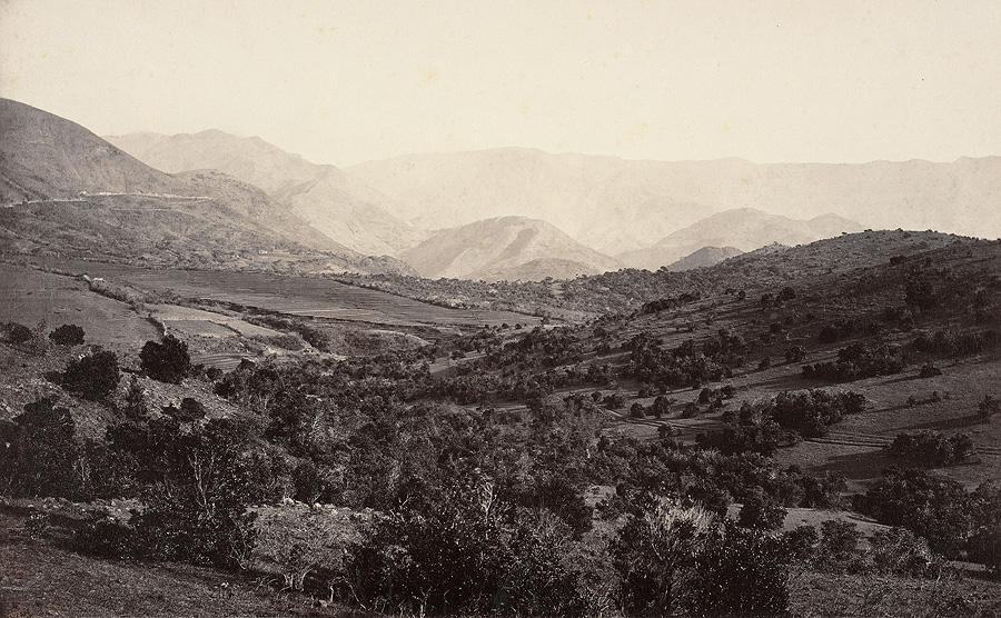 1982_38_350.jpg