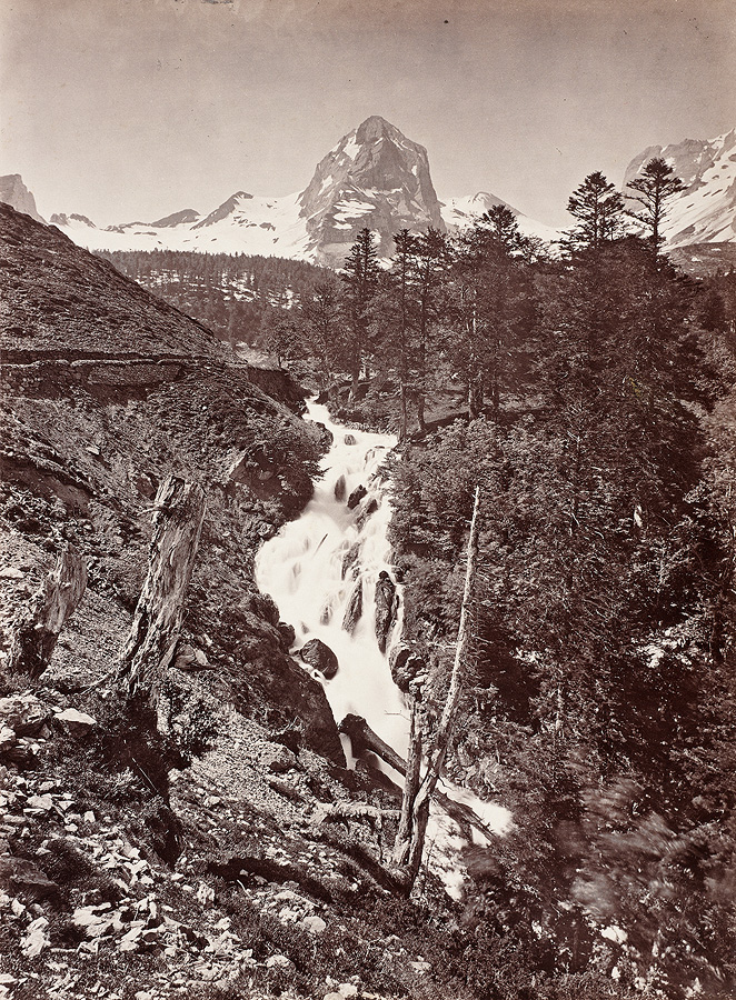 1982_38_874.jpg