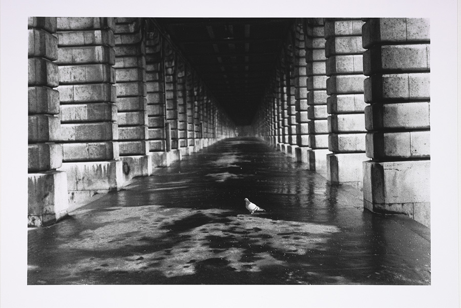 2000_38_2.jpg