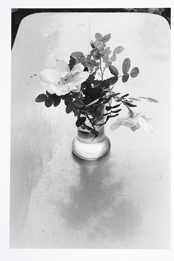 2000_38_5.jpg