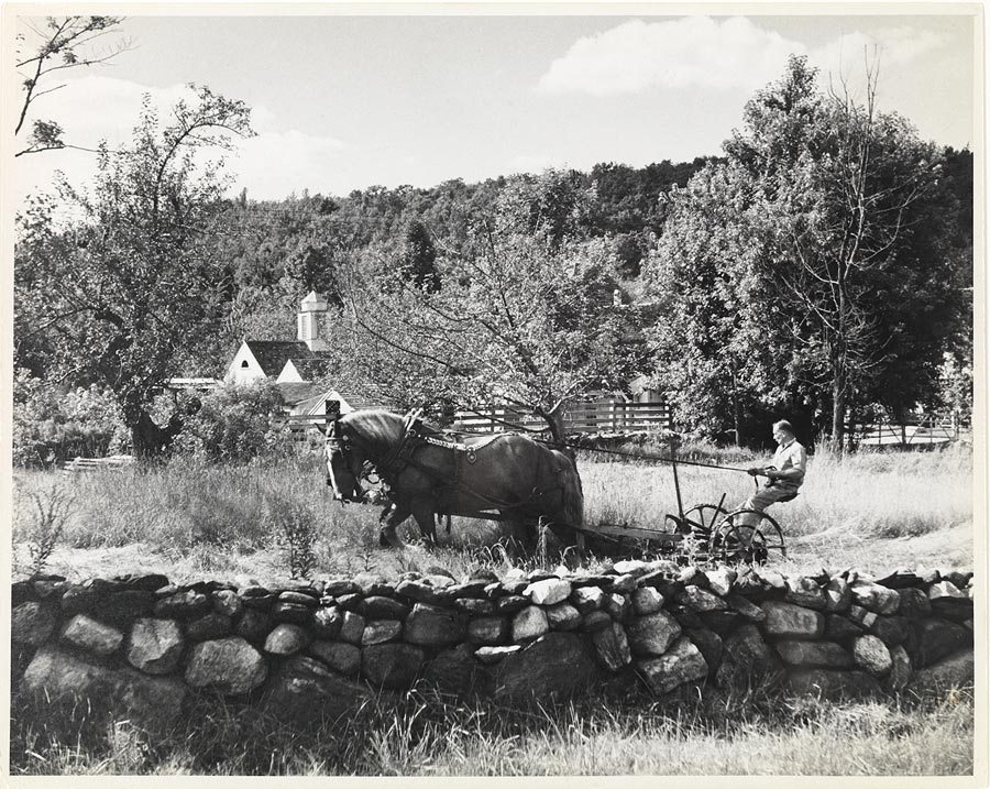 1977_5_17.jpg