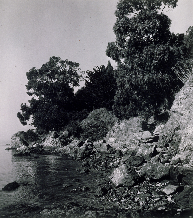 1951_276_1.jpg