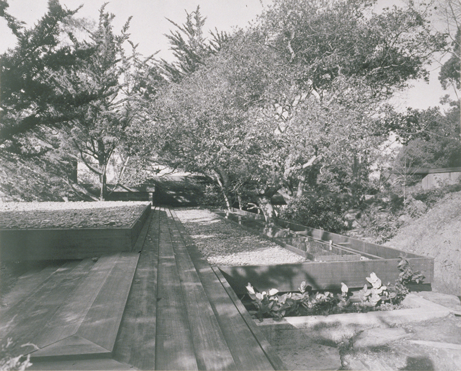 1951_276_23.jpg