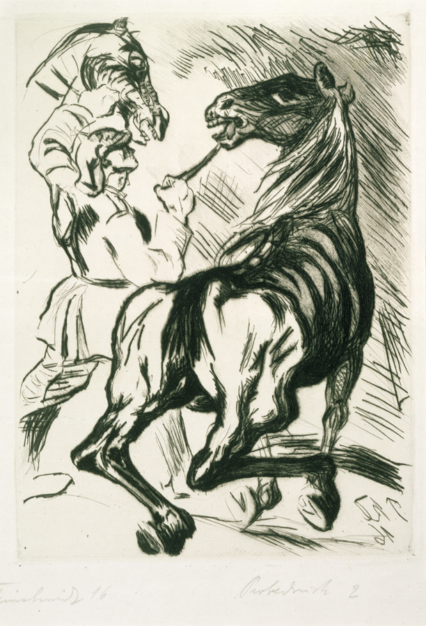 1951_52.jpg