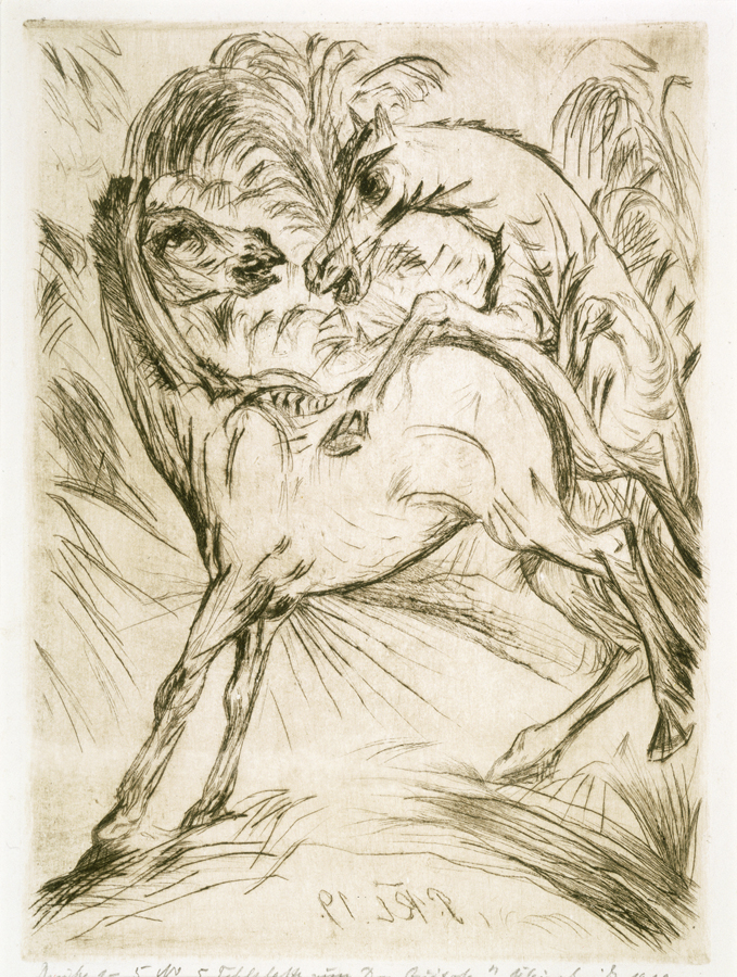 1951_56.jpg