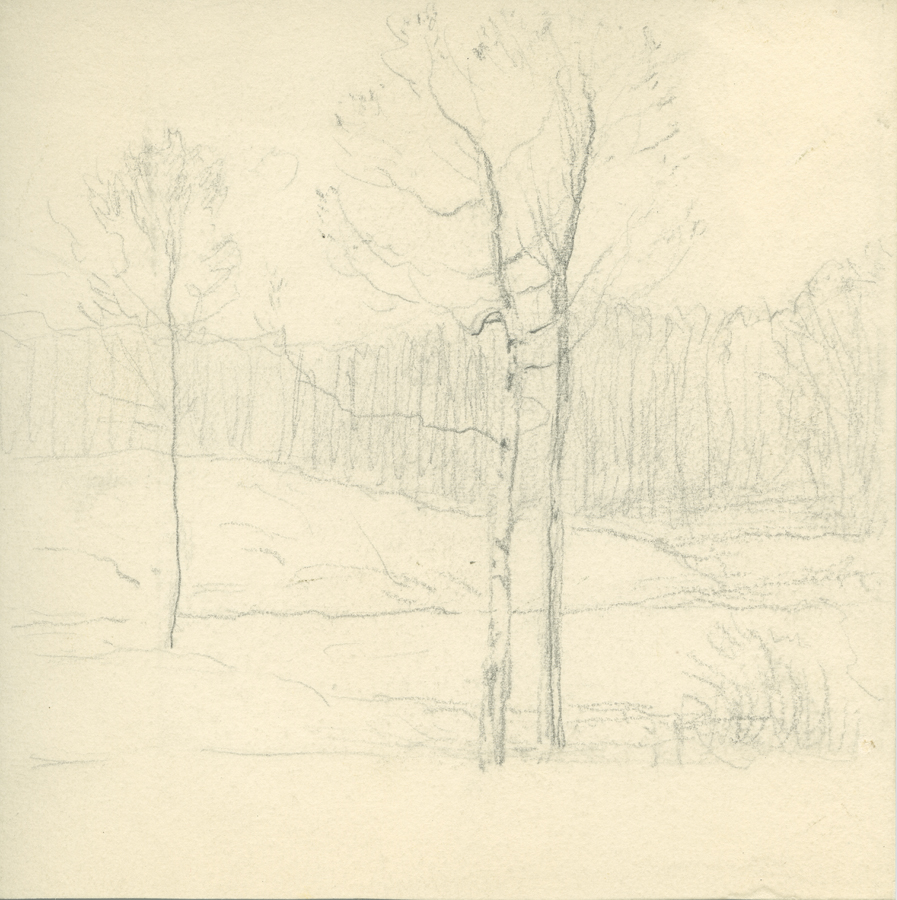 1930_3_134 113V.jpg