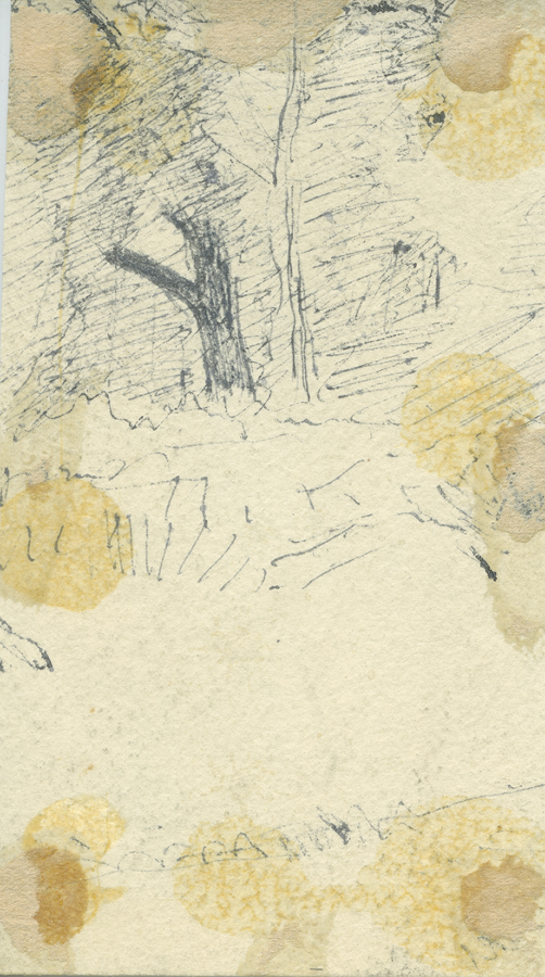 1930_3_134 113V.jpg