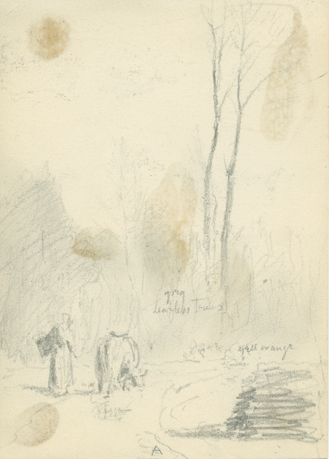 1930_3_134 113V.jpg