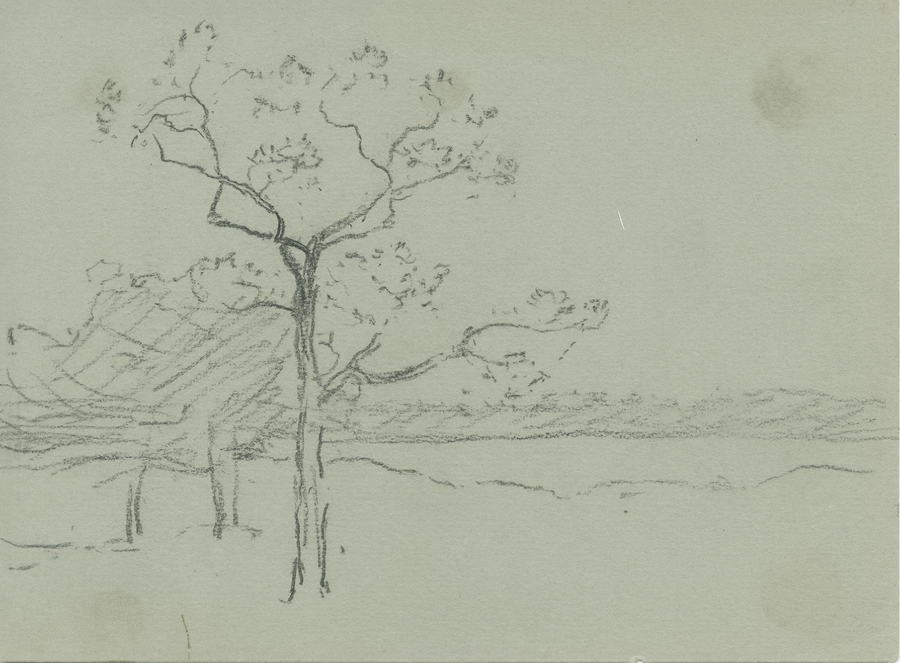1930_3_134 113V.jpg