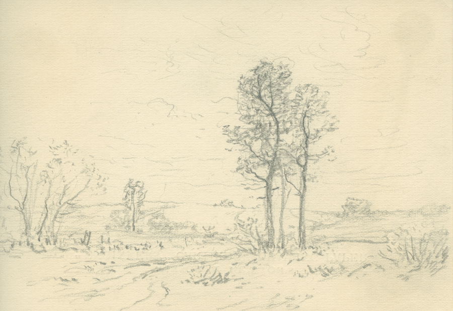 1930_3_134 113V.jpg