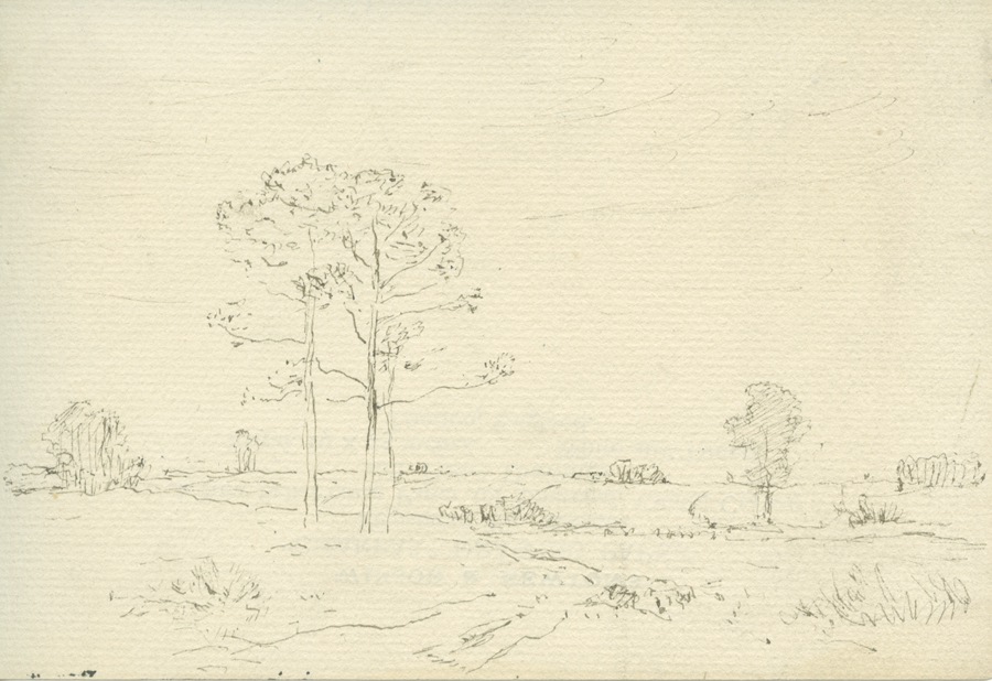 1930_3_134 113V.jpg