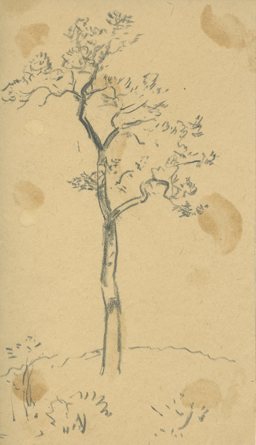 1930_3_134 113V.jpg