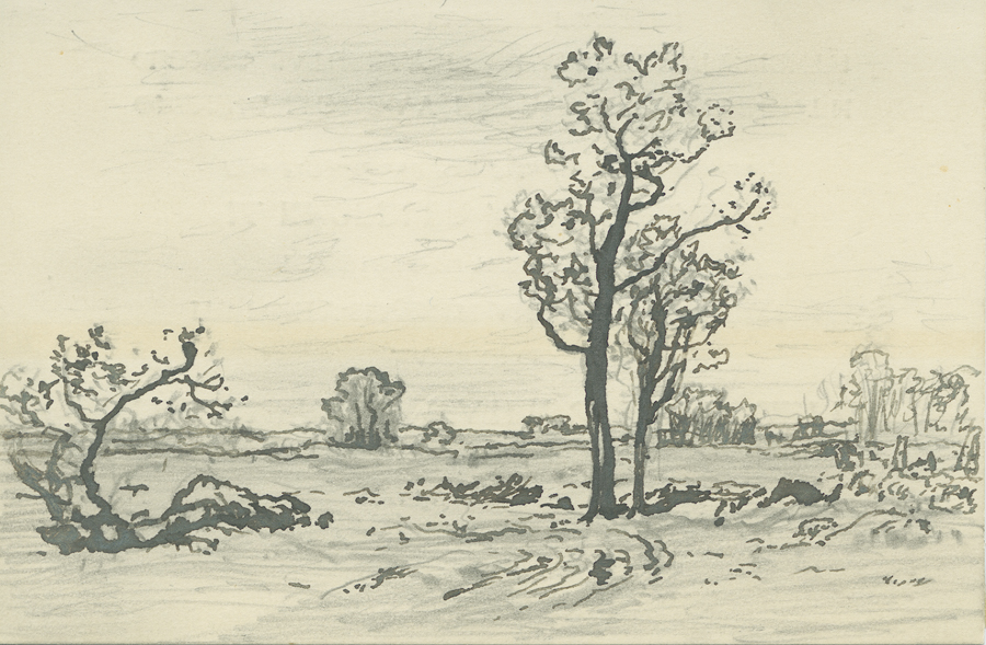 1930_3_134 113V.jpg