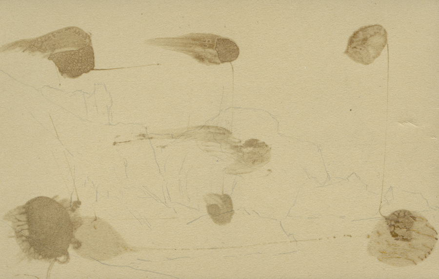 1930_3_134 113V.jpg