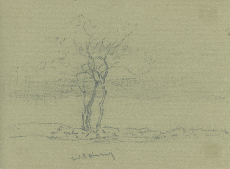 1930_3_134 113V.jpg
