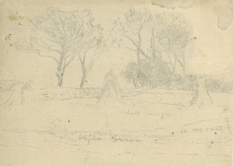 1930_3_134 113V.jpg
