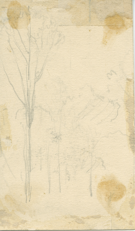 1930_3_134 113V.jpg