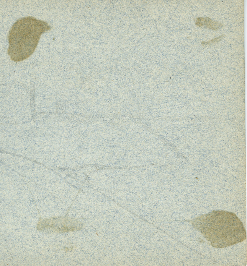 1930_3_134 113V.jpg