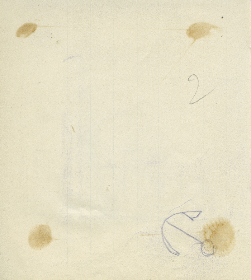 1930_3_134 113V.jpg