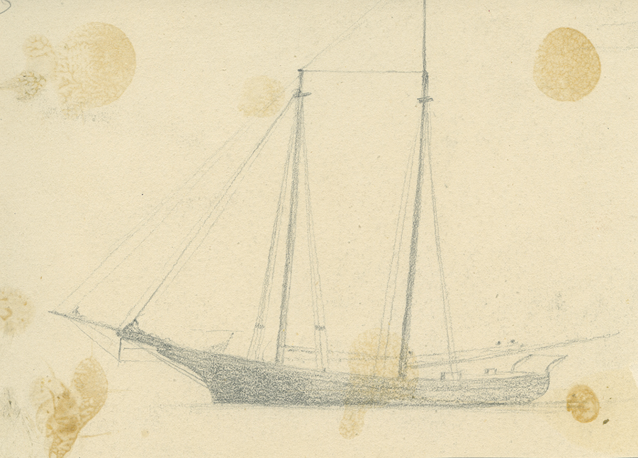 1930_3_134 113V.jpg