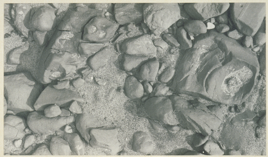 1936_3_4a.jpg