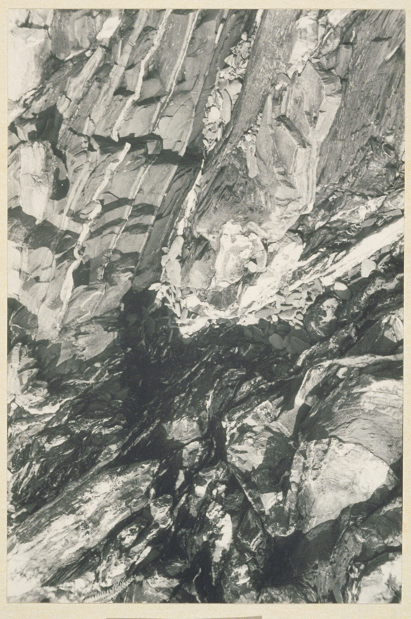 1936_3_3a.jpg