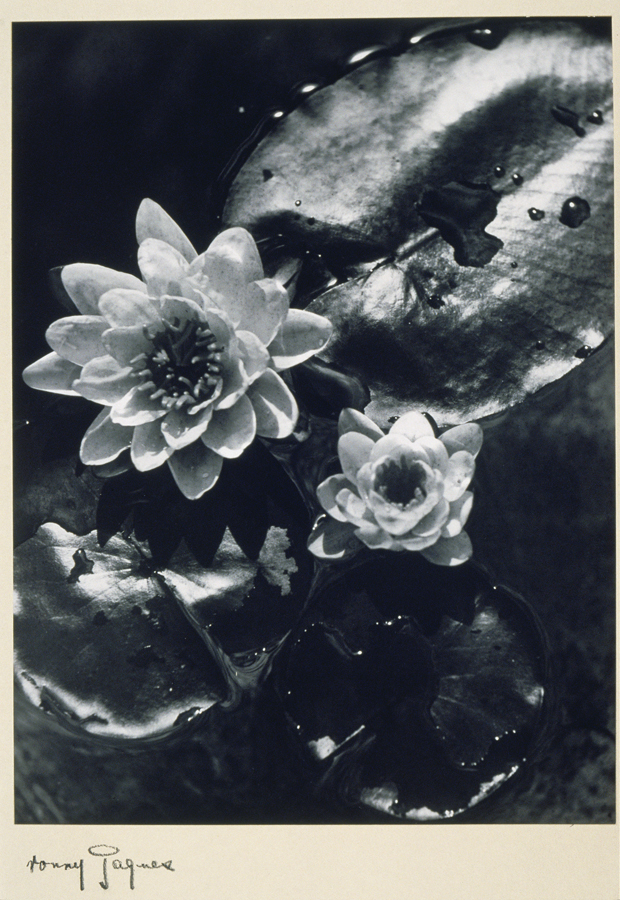1936_9_1.jpg