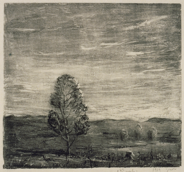 1951_178.jpg
