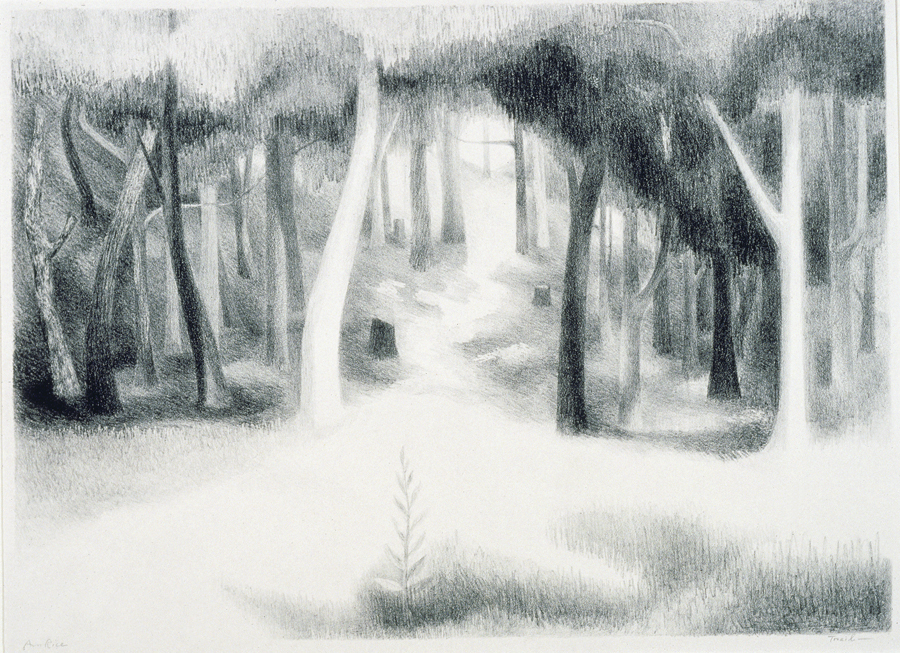 1951_250.jpg