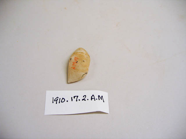 mh_1910_17_2_a_m_v1_01.jpg