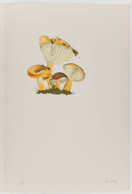 mh_1984_20_1_3_v1.jpg