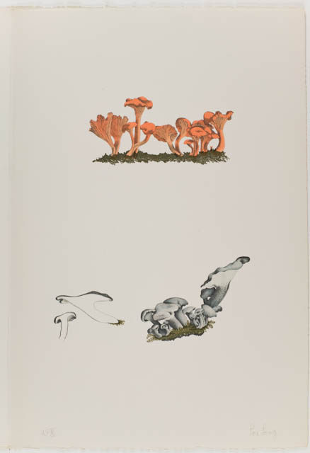 mh_1984_20_1_6_v1.jpg