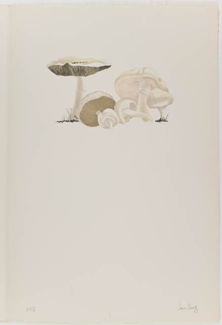 mh_1984_20_1_7_v1.jpg