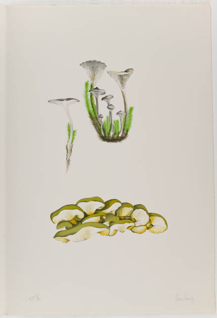 mh_1984_20_1_9_v1.jpg