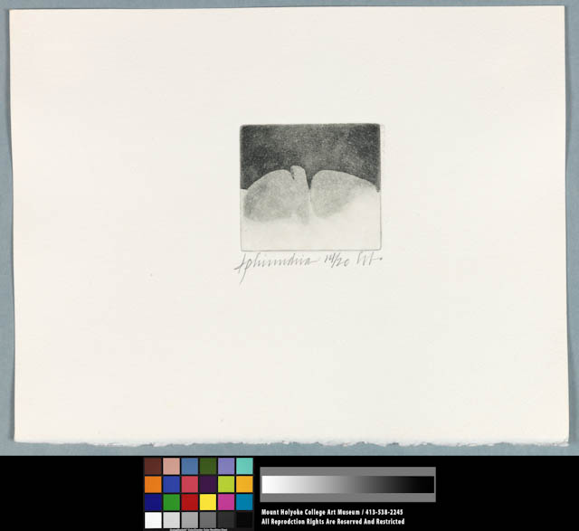 mh_1989_22_5_v1.jpg