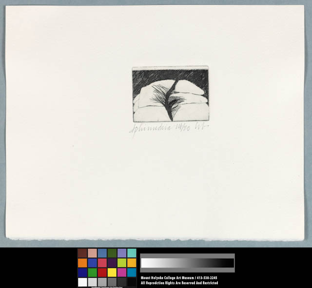 mh_1989_22_7_v1.jpg