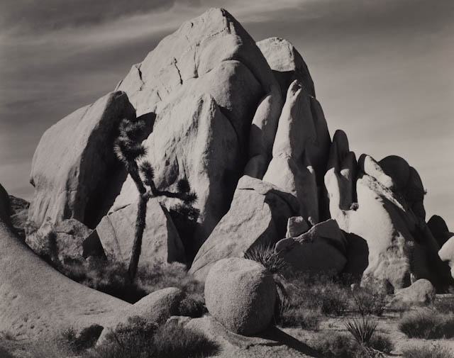 mh_1991_23_1_1_15_v1.jpg