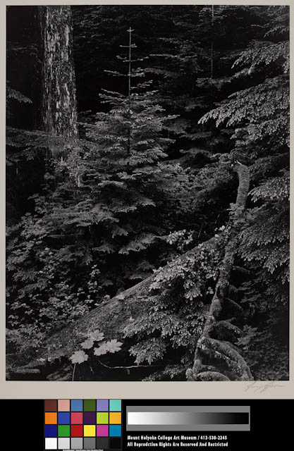 mh_1991_23_1_2_v1.jpg