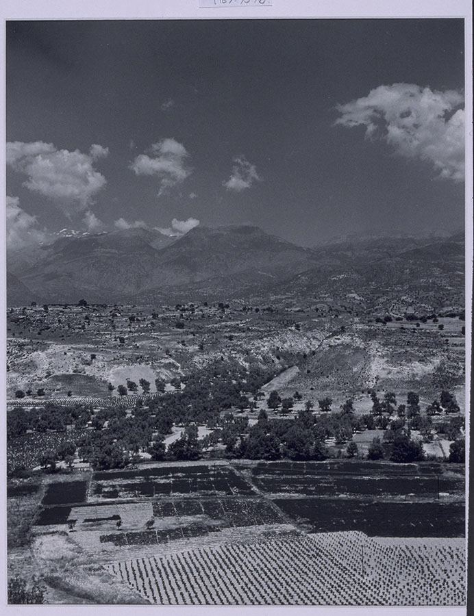 1967_73_1b.jpg