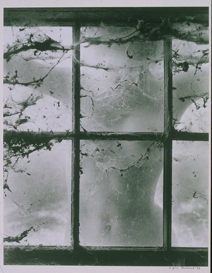 1972_20.jpg