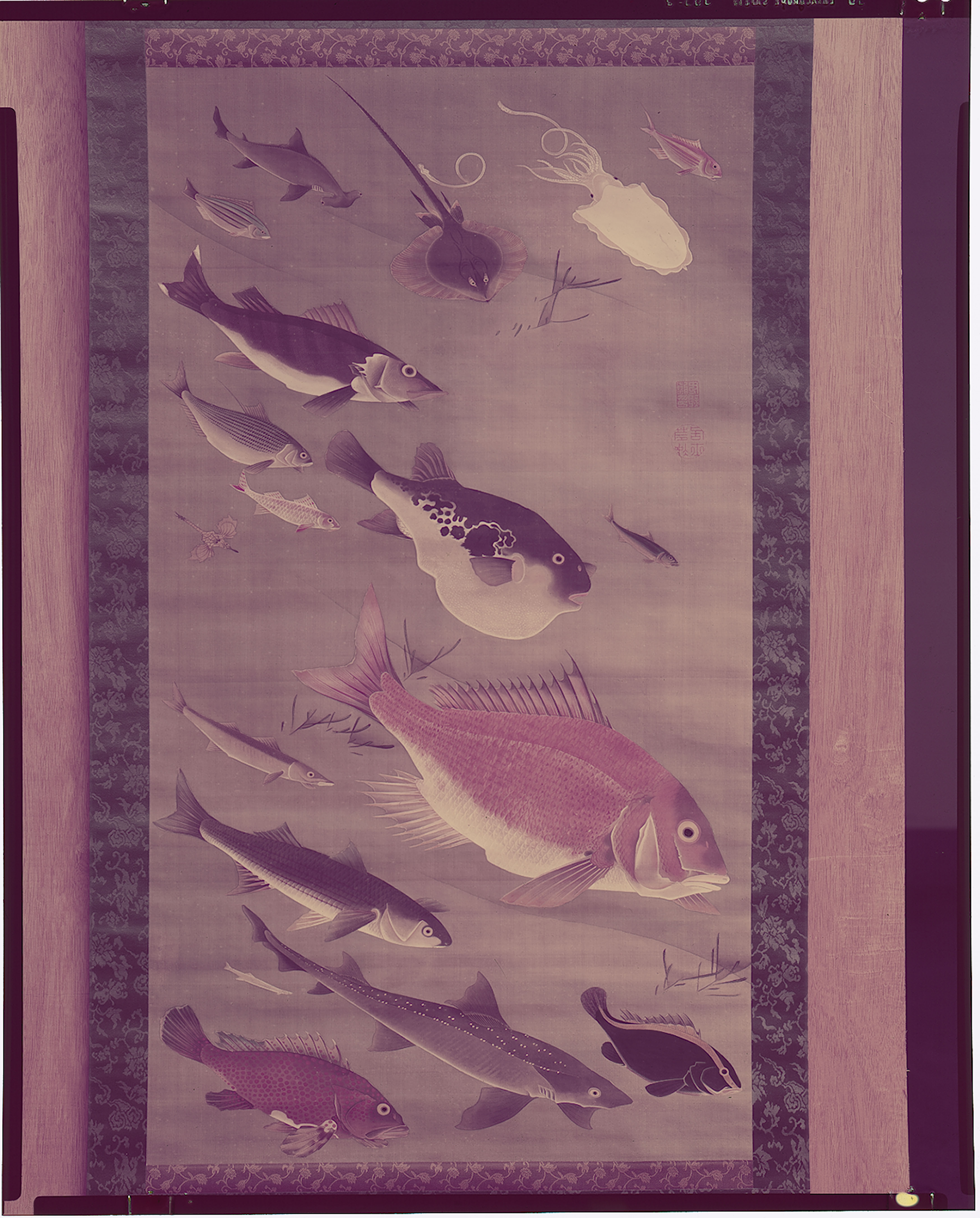 1968_51_9.jpg