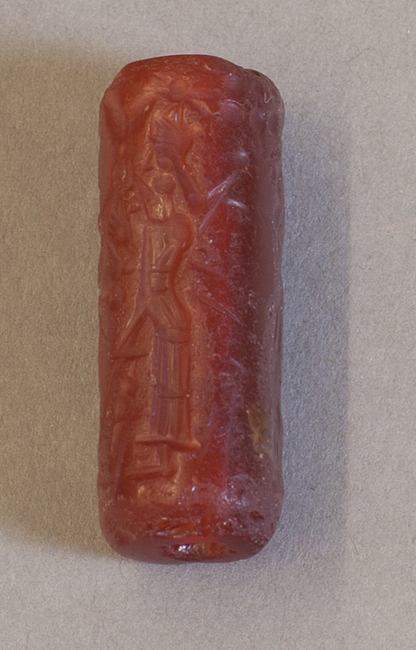 seal-xx-2_view_1.jpg