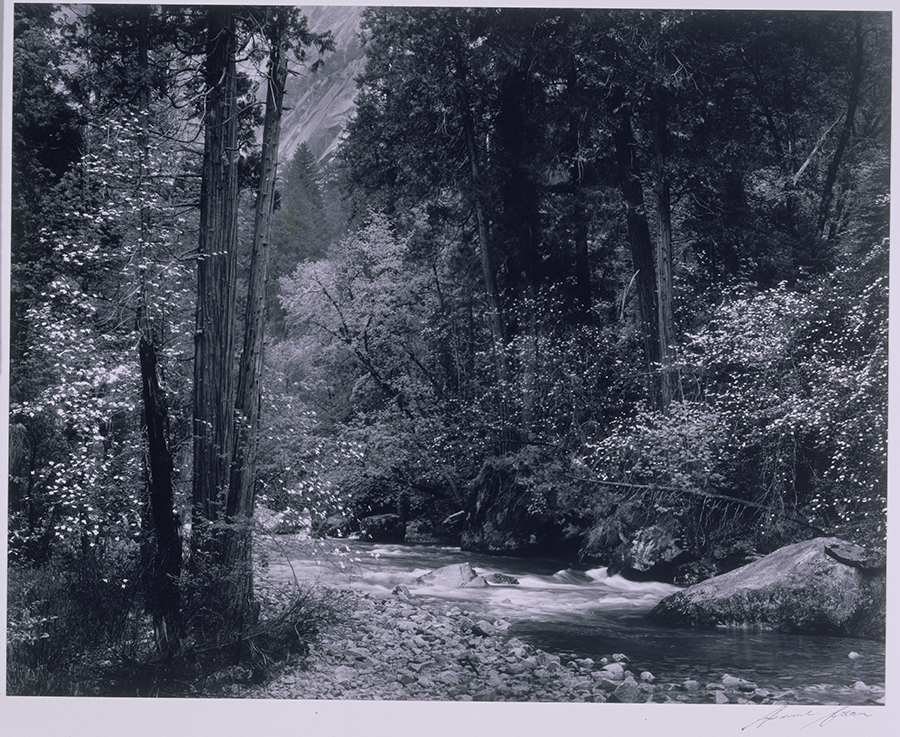 1973_80_7.jpg