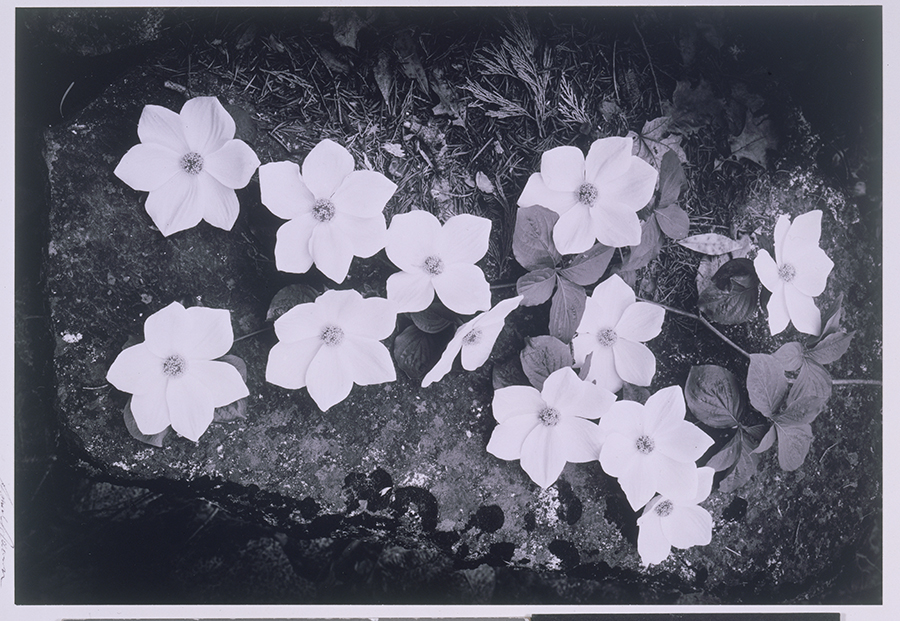 1973_80_10.jpg