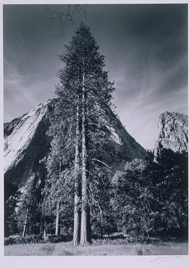 1973_80_15.jpg