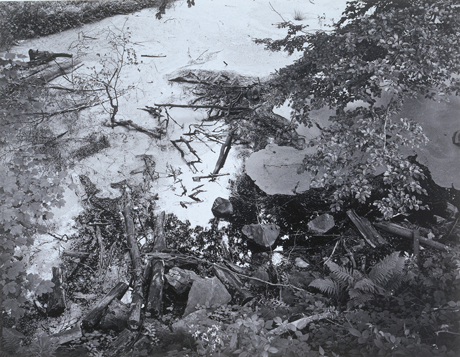 1974_35.jpg