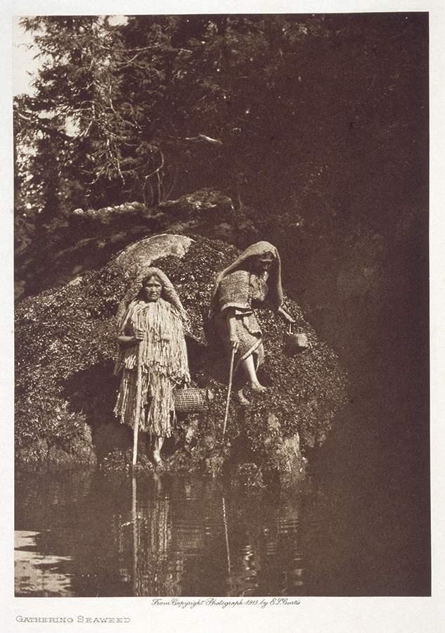 1976_15_4.jpg