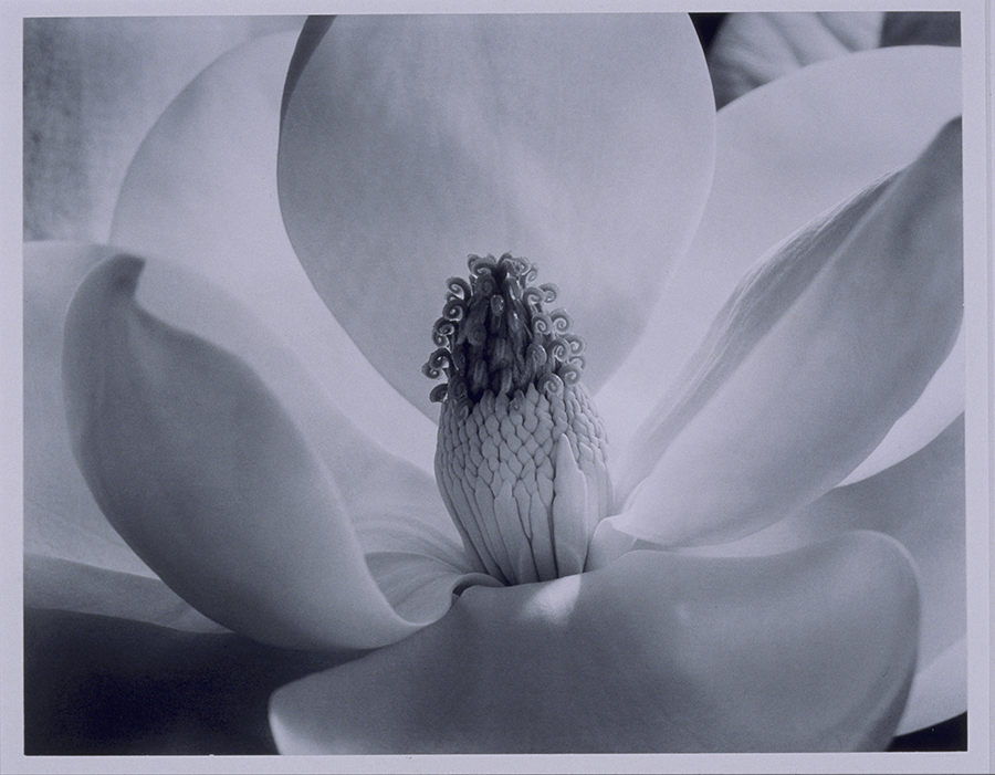 1976_19_4.jpg