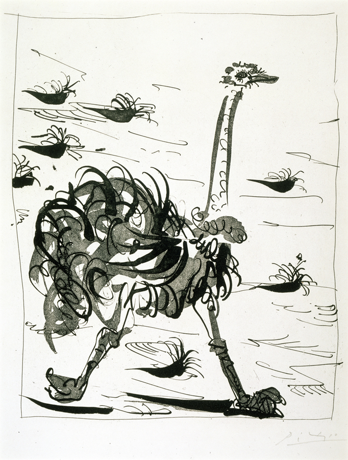 1978_1_27.jpg